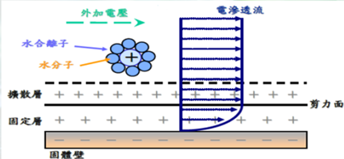 離子遷移及電滲透流等作用